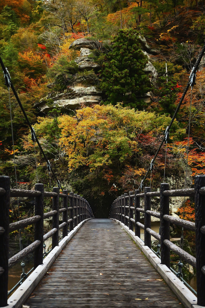 塔のへつり　吊り橋